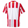 Retro Atlético de Madrid 2011-12  1ª Equipación